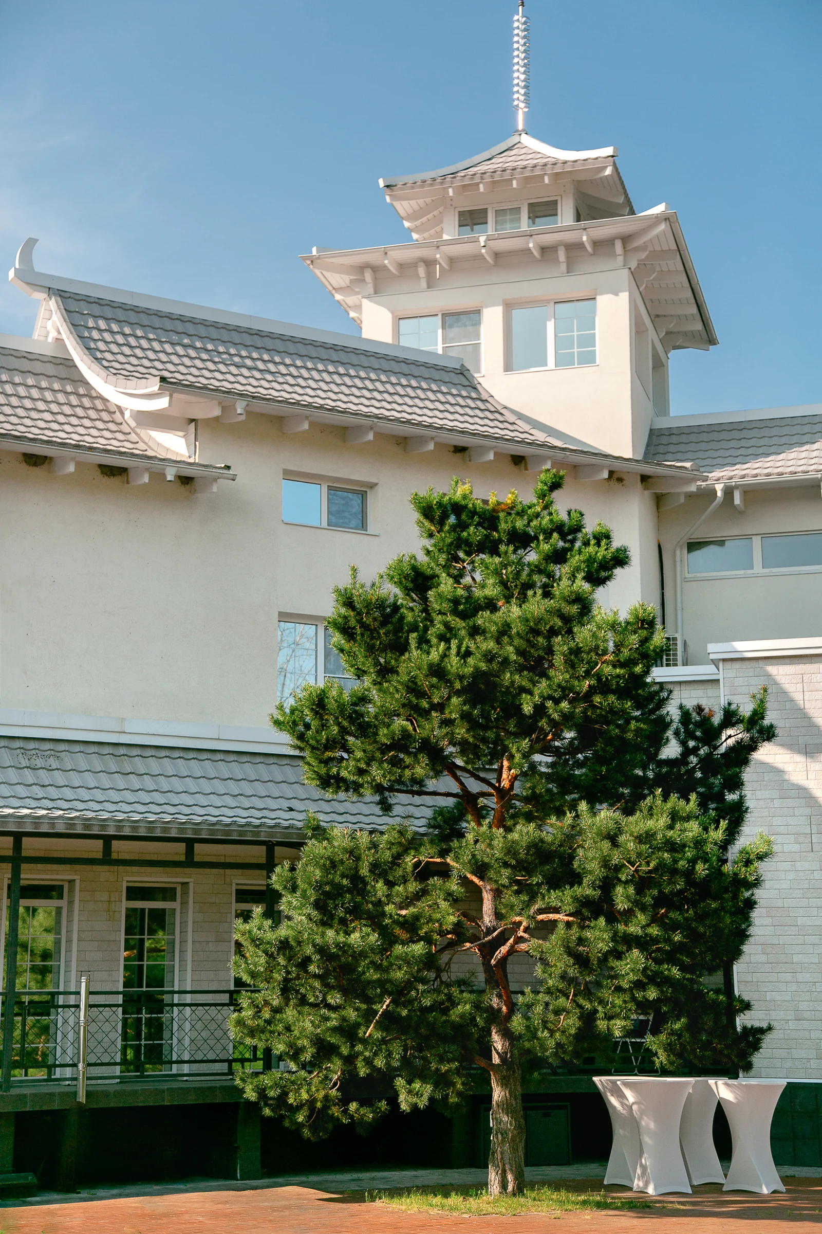 Башня резиденции и сосна во дворе