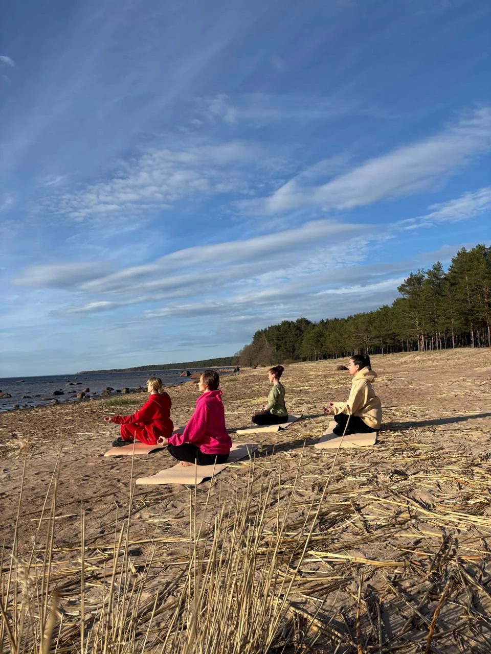 Совместная практика у воды и соснового леса
